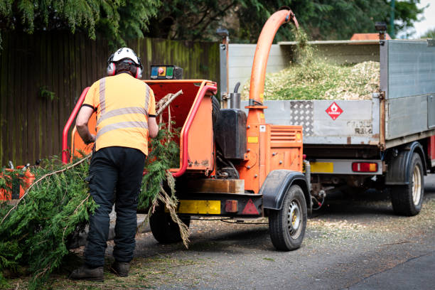 Soil Testing and Treatment in Hewitt, NJ