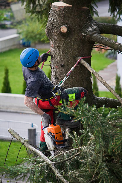 Best Lawn Mowing  in Hewitt, NJ